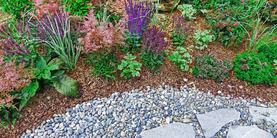 bark i hage med blomster bark i hage med blomster