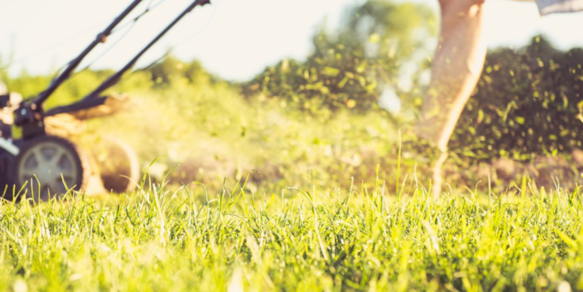 elektrisk gressklipper in action