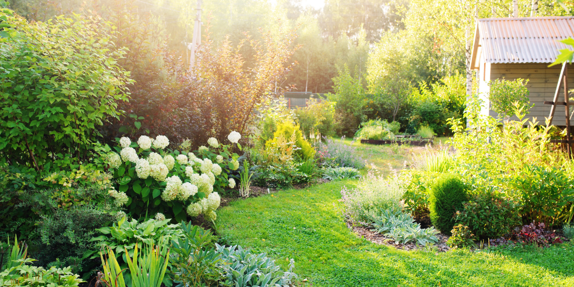Bilde en hage med blomster, busker og ett redskapshus Bilde en hage med blomster, busker og ett redskapshus