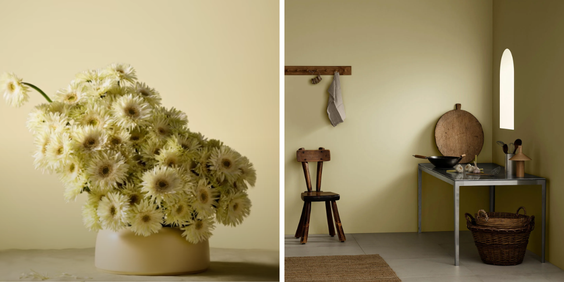 Bilde som viser fargene Fresh Pasta og Earth Yellow fra Jotun