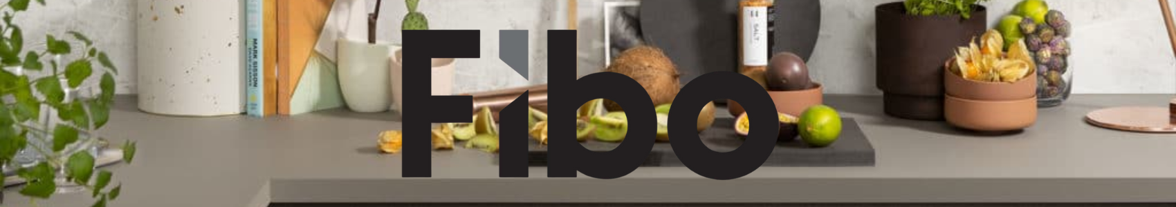 Fibo logo banner