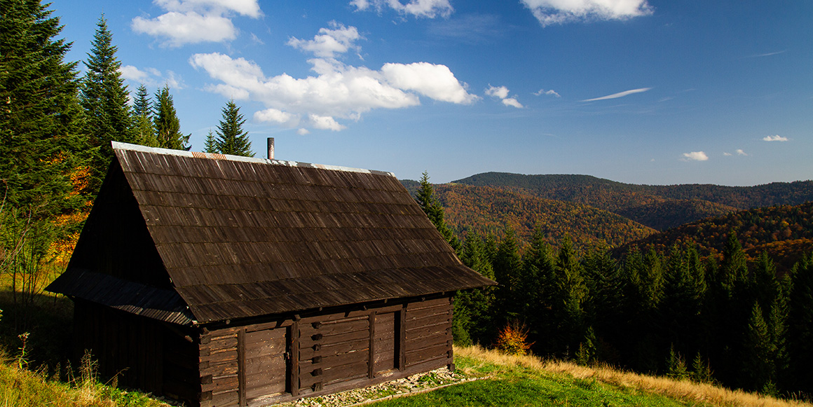 Ønsker du tak av tre på huset ditt? Finn ut hvordan du kan legge tretak, med våre eksperttips!