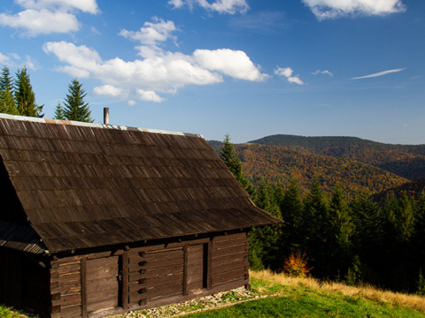 Tretak Ønsker du tak av tre på huset ditt? Finn ut hvordan du kan legge tretak, med våre eksperttips!