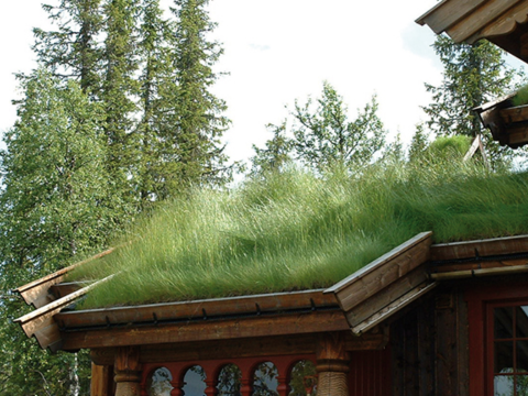 Torvtak Har du planer om å legge torvtak på egen hånd? Her finner du en guide som forklarer deg hvordan.