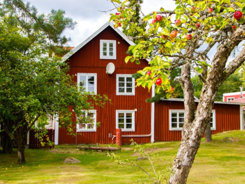 Ved å vaske huset regelmessig, vil malingen holde lenger, du unngår grønske og støv som på sikt kan ødelegge treverket, og ikke minst – huset ser nymalt og flott ut til tross for liten arbeidsinnsats. Her er alt du trenger å vite om fasadevask trinn for trinn.