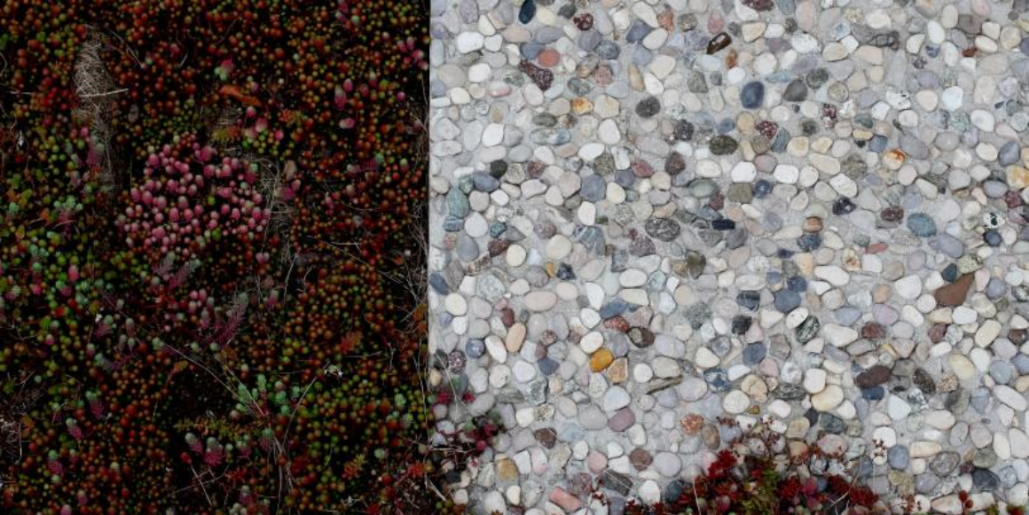 Helle Cavazzo som er brukt i norskt utemiljø