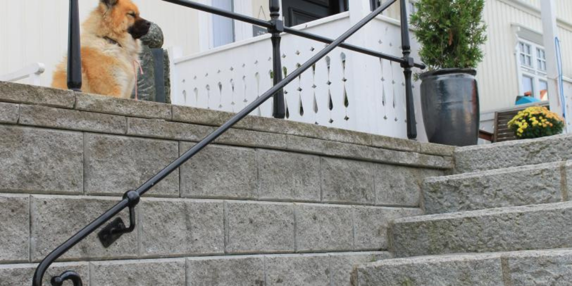 En hund som sitter ved en støttemur, på en steintrapp utenfor et hus, med et metallrekkverk og potteplanter i nærheten.