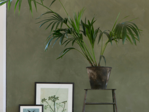 Hvordan male gipsvegg - Den ultimate guiden for et perfekt resultat () Hvordan male gipsvegg - Den ultimate guiden for et perfekt resultat