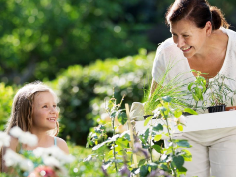 Rydd hagen klar for våren