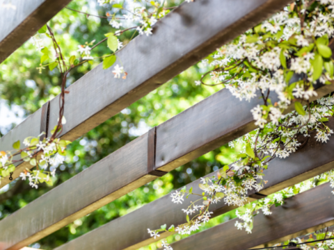 Terrasse med pergola Terrasse med pergola