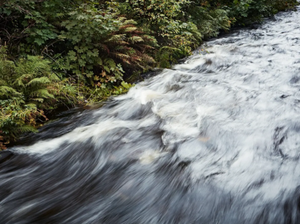W .steps satser på bærekraftig produksjon