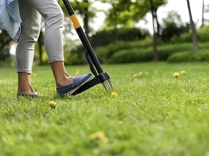 Xact weeder ugressfjerner