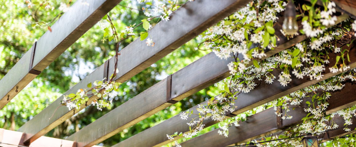 blomster på en pergola