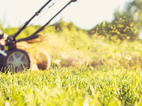 motordrevet gressklipper i arbeid motordrevet gressklipper i arbeid
