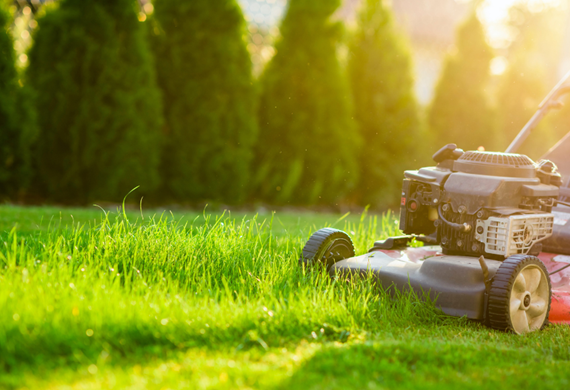 En gressklipper som jobber seg gjennom en plen med trær i bakgrunnen En gressklipper som jobber seg gjennom en plen med trær i bakgrunnen