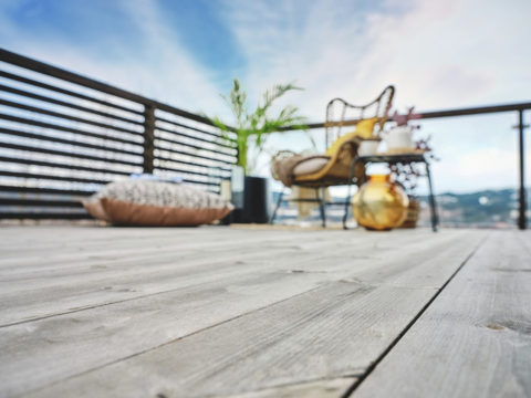 Concise Collection natur